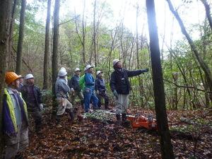 森林の中でヘルメットをかぶって作業着を着た男性達が、機械を地面に置いて、伐採する木々をみている様子の写真